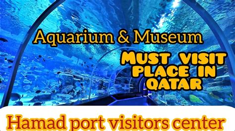 Hamad Port Visitors Center Aquarium Museum Qatar Doha YouTube