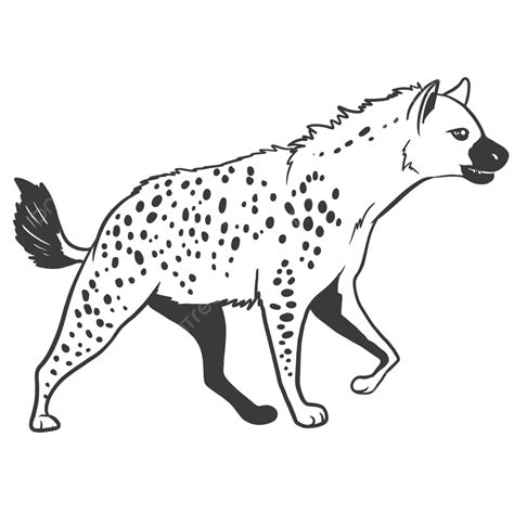 Hyenas Vector Art PNG Spotted Hyena Vector Hyena Hanging Hyena