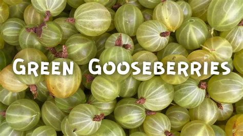 Gooseberry Health Benefits How To Eat Youtube