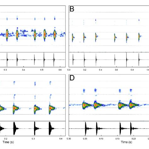 Audiospectrograms Above And Corresponding Oscillograms Below