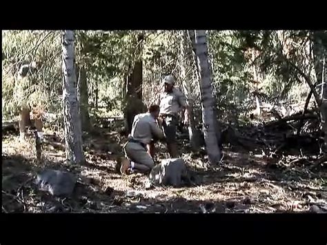 Free The Cabin Gay Porn Videos XHamster