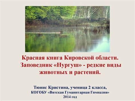 Красная книга Кировской области. Заповедник «Нургуш» - редкие виды ...