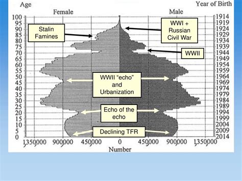 Ppt The Population Pyramid Displays The Age And Sex Structure Of A