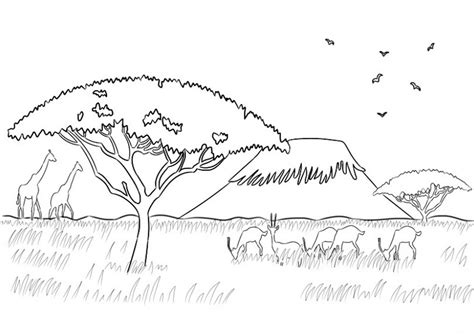 Paisaje De Bosque Dibujo Facil Png Pasael Dibujos De Colorear