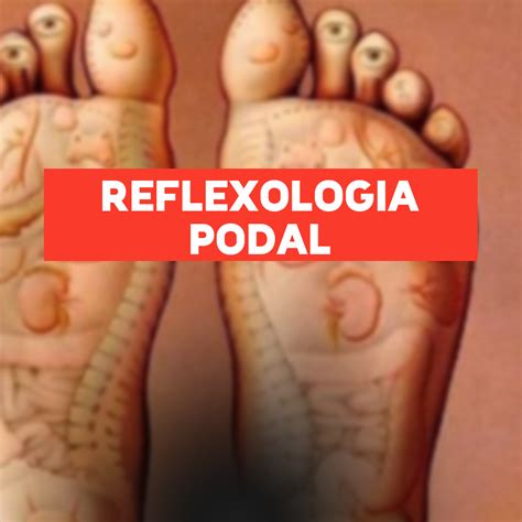 Curso Online Reflexologia Podal Professora Amanda Medeiros