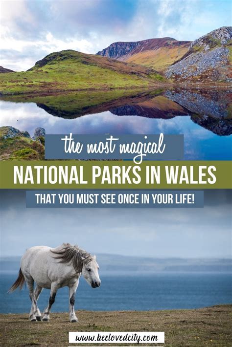 National parks in wales top things to do – Artofit