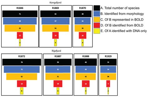 Benthic Invertebrates In Svalbard Fjords—when Metabarcoding Does Not Outperform Traditional