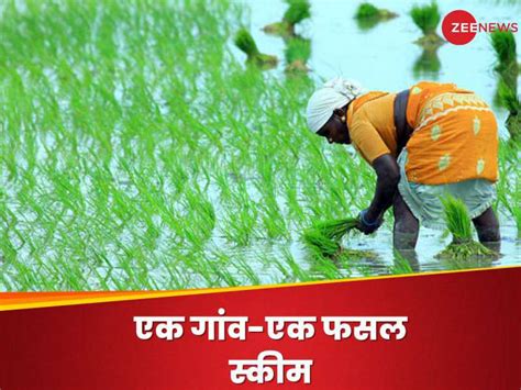 Farmers Scheme किसानों के लिए आएगी एक और नई स्कीम शुरू होगी ‘एक गांव