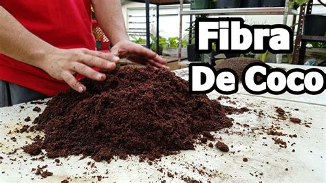 Fibra De Coco Un Exelente Sustrato Para Nuestras Plantas Youtube