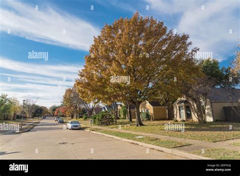 Empty Neighborhood Street