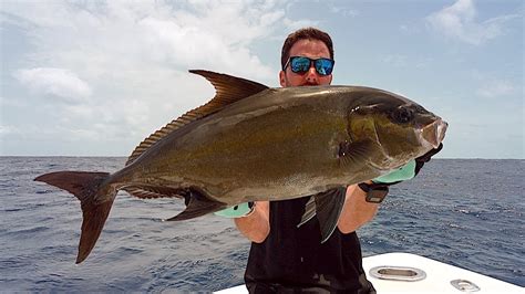 Ricciola A Vertical Jigging Amberjack In Cape Verde Youtube