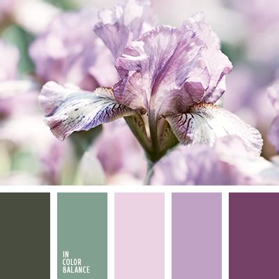 темно-изумрудный | IN COLOR BALANCE