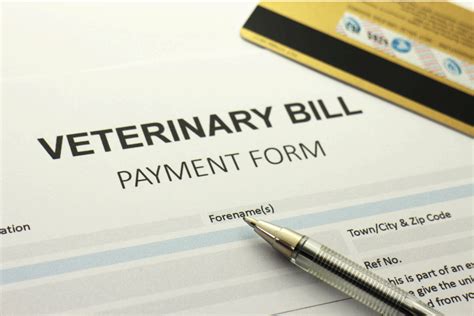 Why Are Veterinarians So Expensive Understanding The Costs Of