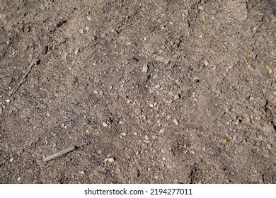 Depleted Acidic Soils Without Nutrients Agriculture Stock Photo ...