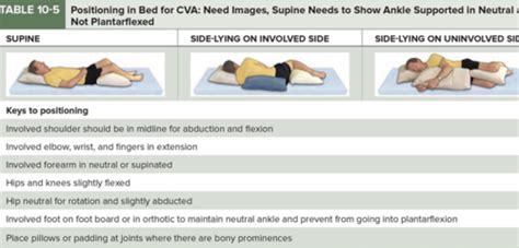 10 STROKE Rehab Following CVA Flashcards Quizlet