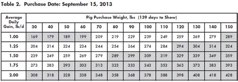 Guide to Determine What Weight Show Pig to Buy | The Pig Site