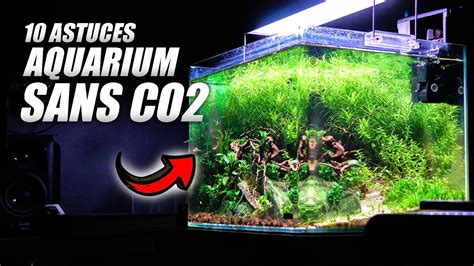 Astuces Pour Un Aquarium Sans Co Youtube