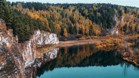 Foresta Boreale Caratteristiche E Dove Di Trova GreenStyle