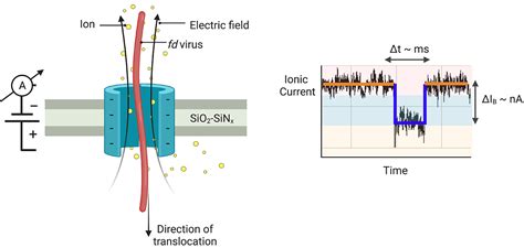 Solid-state Nanopore Translocation and Fingerprinting – Doyle Research ...