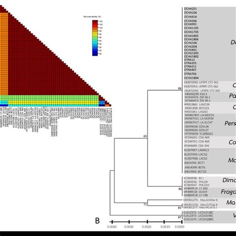 Comparison And Relationship Of Nucleotide Color Matrix Of Pairwise Download Scientific Diagram