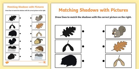 Autumn Shadow Matching Worksheet Lehrer Gemacht Twinkl