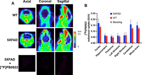 Synthesis And Evaluation Of A Novel PET Radioligand For Imaging