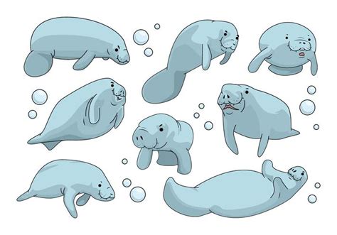 Manatee clip art