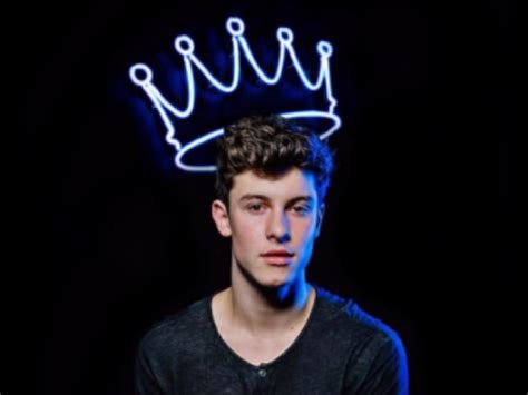 Teste Quanto Você Conhece O Shawn Mendes Quizur