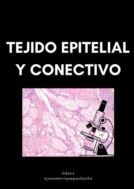 Tejido Epitelial Y Conectivo Estudia Odonto UDocz