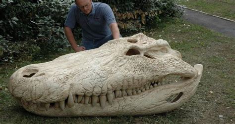 Purussaurus, The Prehistoric Predator More Powerful Than T.Rex