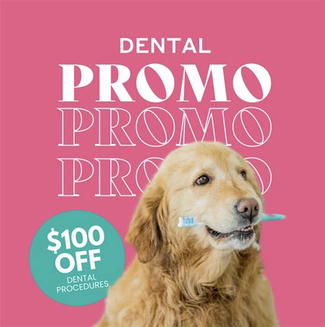 Celebrate Pet Dental Health Month With Off Your Pets Dental