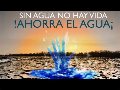 El Papel Vital Del Agua En La Supervivencia Humana Tratamos El Agua