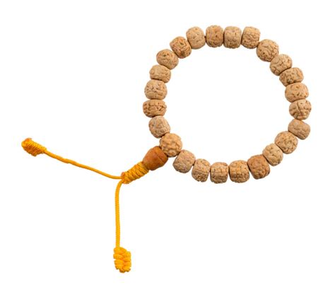 Bracelet Mala Tib Tain Perles En Rudraksha Blanche Mm Du Nepal Rare