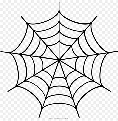 Spider Web Drawing - Desenho De Teia De Aranha Para Colorir PNG ...