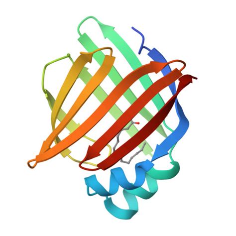 RCSB PDB - 7FXL: Crystal Structure of human FABP4 binding site mutated ... 