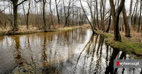 Pogoda Na Dzi Wtorek Kwietnia R Popada Deszcz A W Sudetach