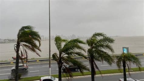 Frente Fria Traz Chuva E Ventos De At Km H A Santa Catarina Nesta