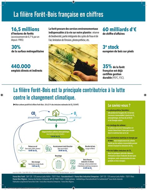 Pour atteindre la neutralité carbone en 2050 France Bois Forêt