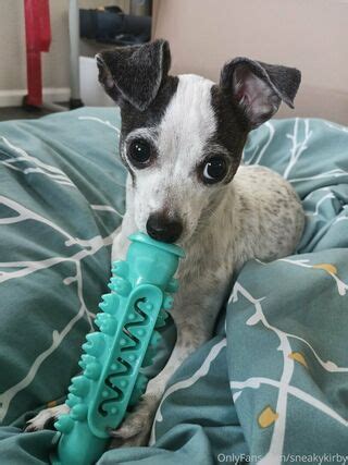 Sneakykirby Nude OnlyFans NudoStar TV