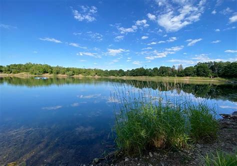 Trout Master Forellenseen Angelsee Oker