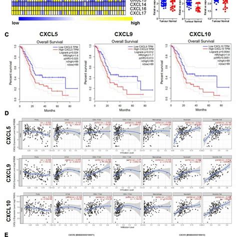 CXC Chemokines Expression Was Correlated With Prognosis And Immune Cell