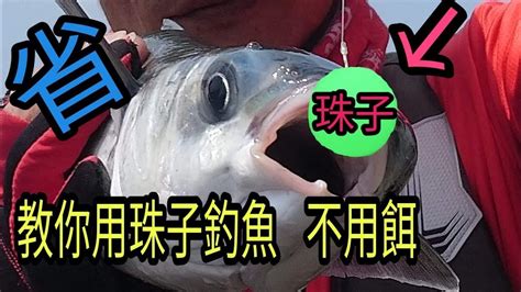 台中人釣魚不用魚餌 用珠子 省很大 重複使用省錢又環保 台灣愛釣魚第五台第三十二集 Youtube