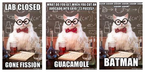 Science Cat Meme