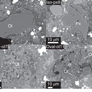 Representative Scanning Electron Microscopy Images Of Anhydrous