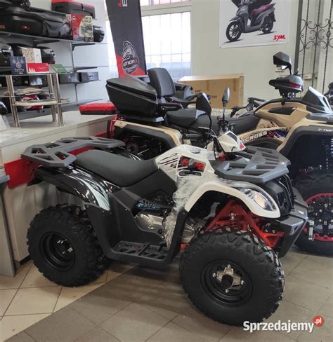 Quad Kayo Au Homologacja T B Raty Leasing Salon Gliwice Sprzedajemy Pl