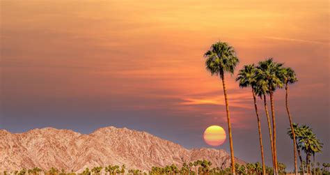 25 Best Things To Do In Palm Springs Southern California