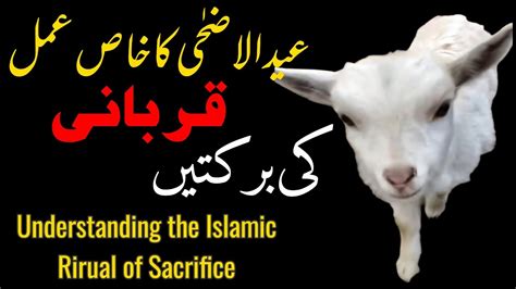 Qurbani | EidUlAdha 2023 | Qurbani Ki Barkat | Eid-ul-Azha Special Work ...