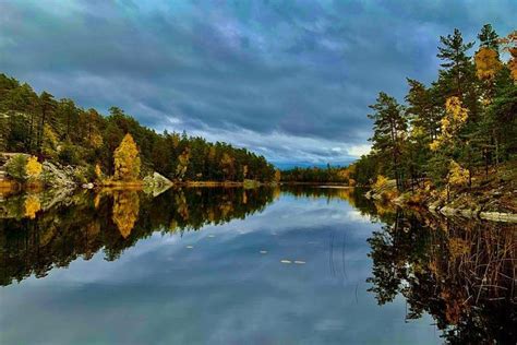 Morning Hike In Nacka Nature Reserve