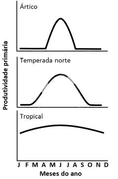 Aio Os Graficos Indicam A Produtividade Primaria Em