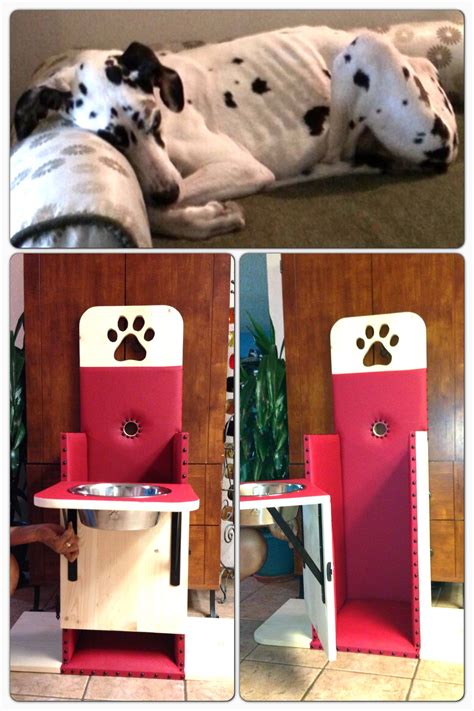 dog bailey chair 7